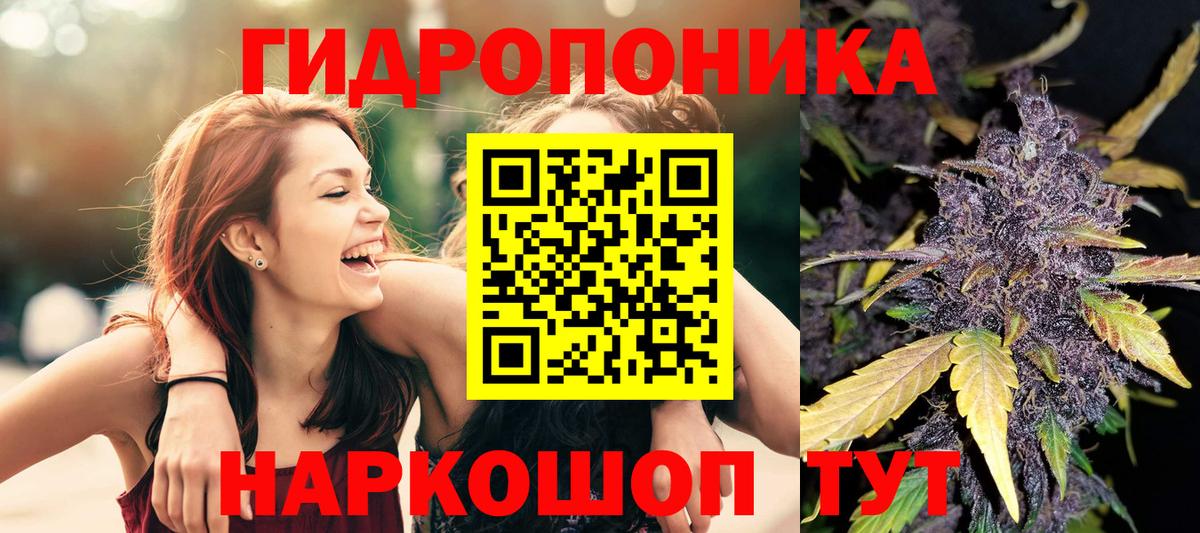 Бошки Шишки Ganja  Вход с VPN  Невинномысск  Бошки марихуана тримм  Марихуана сатива 